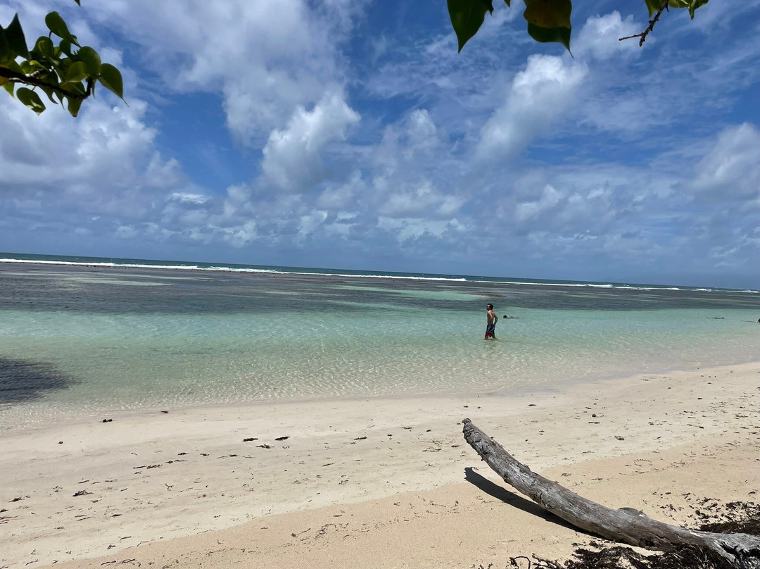 Plage de Bois Jolan-Sainte-Anne必去景点