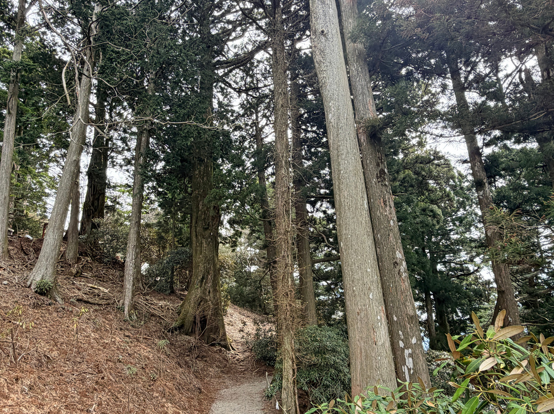 Tamaki Shrine-十津川村必去景点