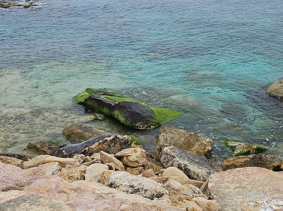 Zonqor Point Salt Pans-Marsascala必去景点