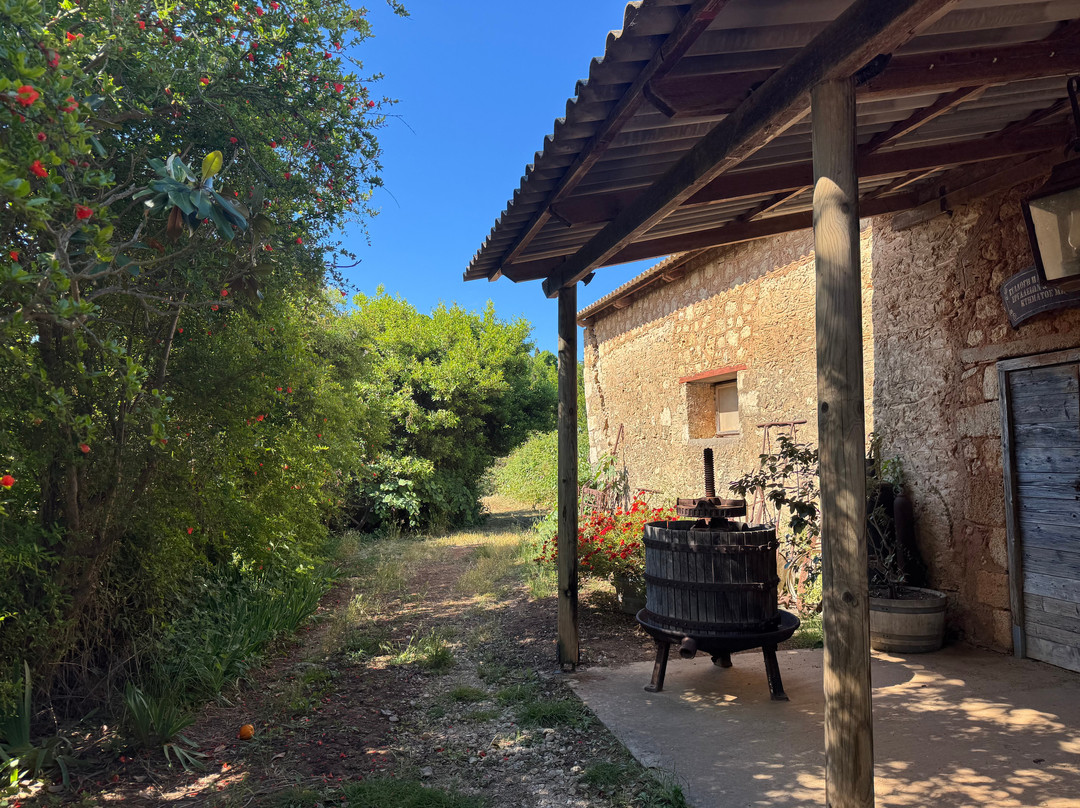 Mercouri Estate-Pyrgos必去景点
