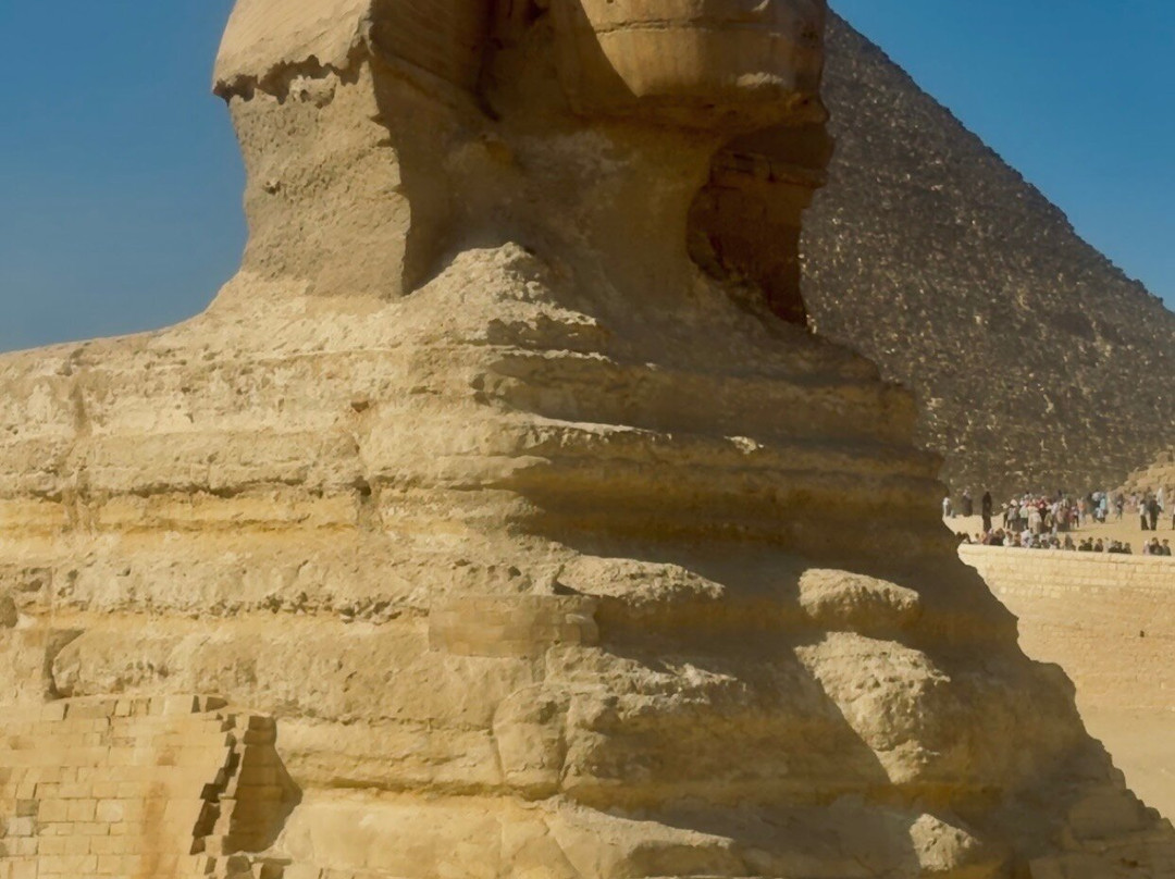 Pink Flower Travel Egypt Tours-El Nozha必去景点