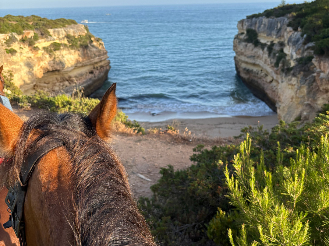 Solid Rocks Algarve Horse Trail Adventures-Porches必去景点