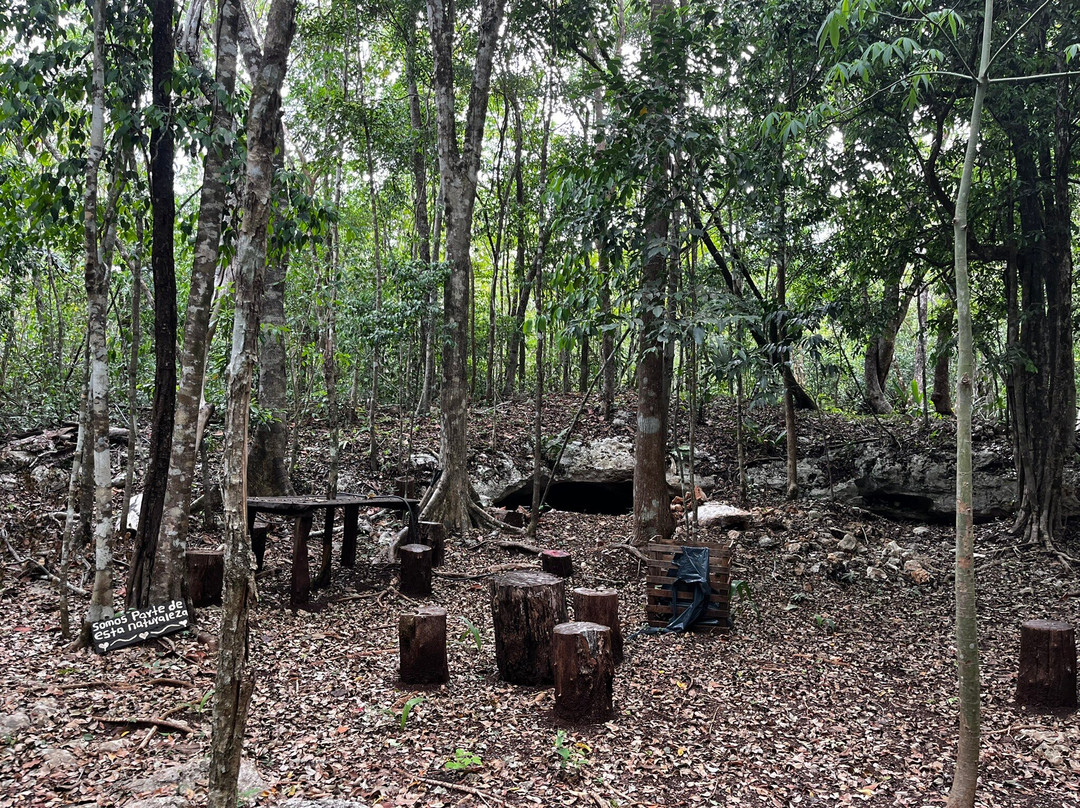 Parque Ecoturistico Cenote Aktun Bej-图伦必去景点