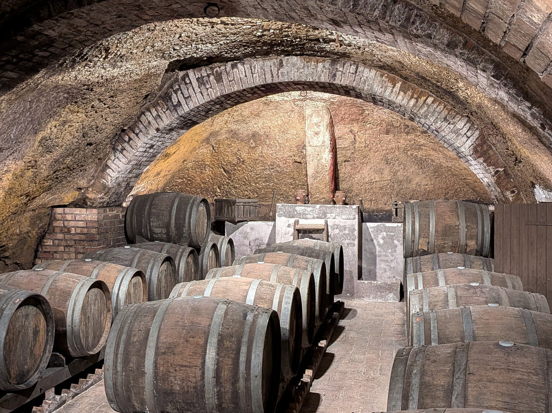 Cantine del Notaio-Rionero in Vulture必去景点
