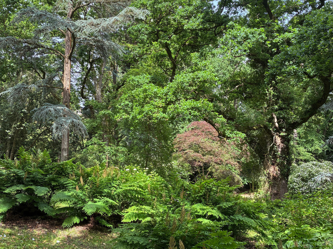 Le Bois Des Moutiers-Varengeville-sur-Mer必去景点