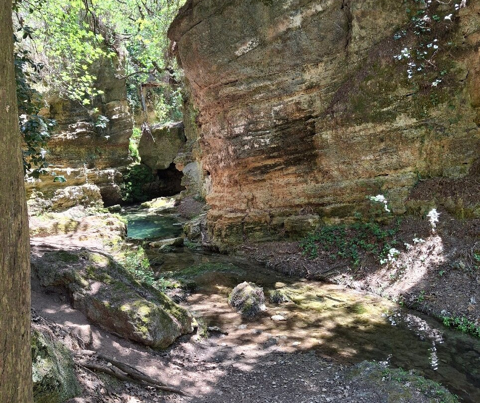 Rodini Park-罗德斯必去景点