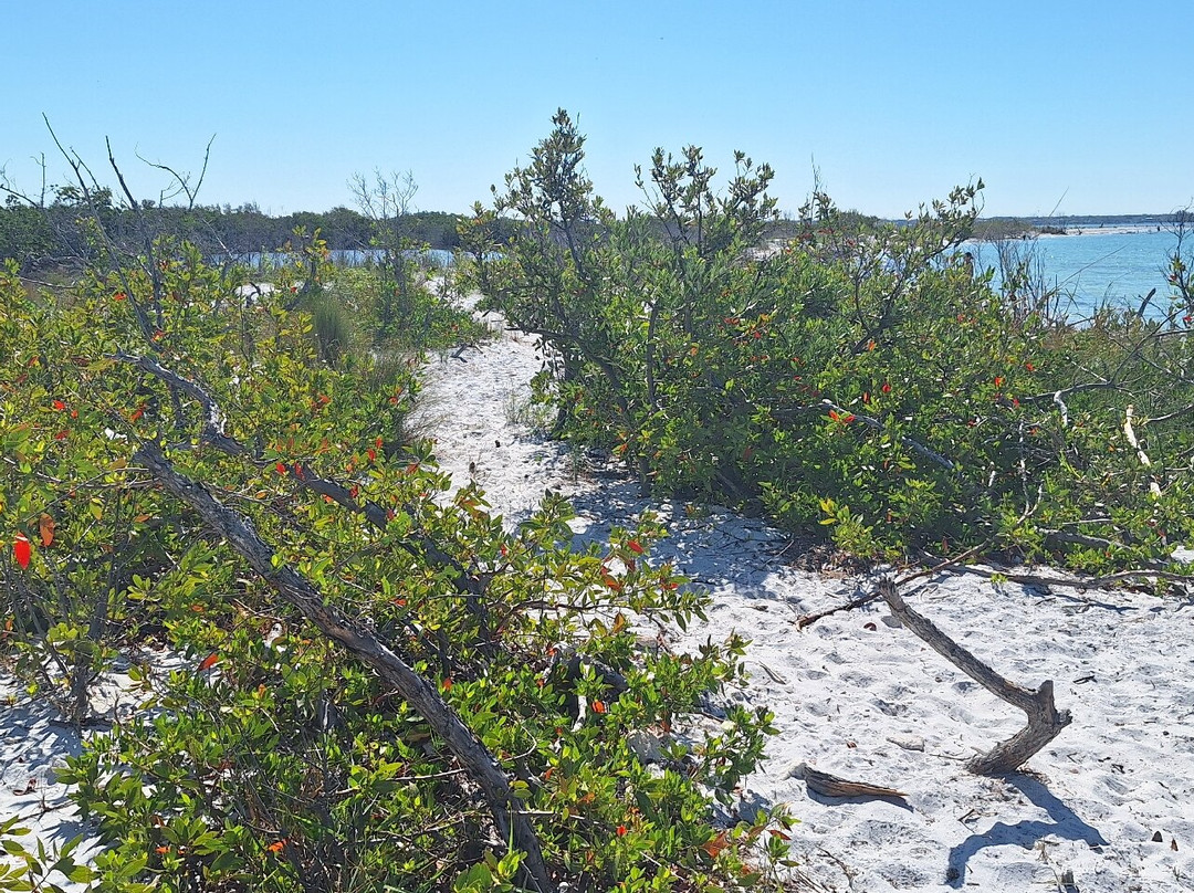 Honeymoon Island State Park-达尼丁必去景点