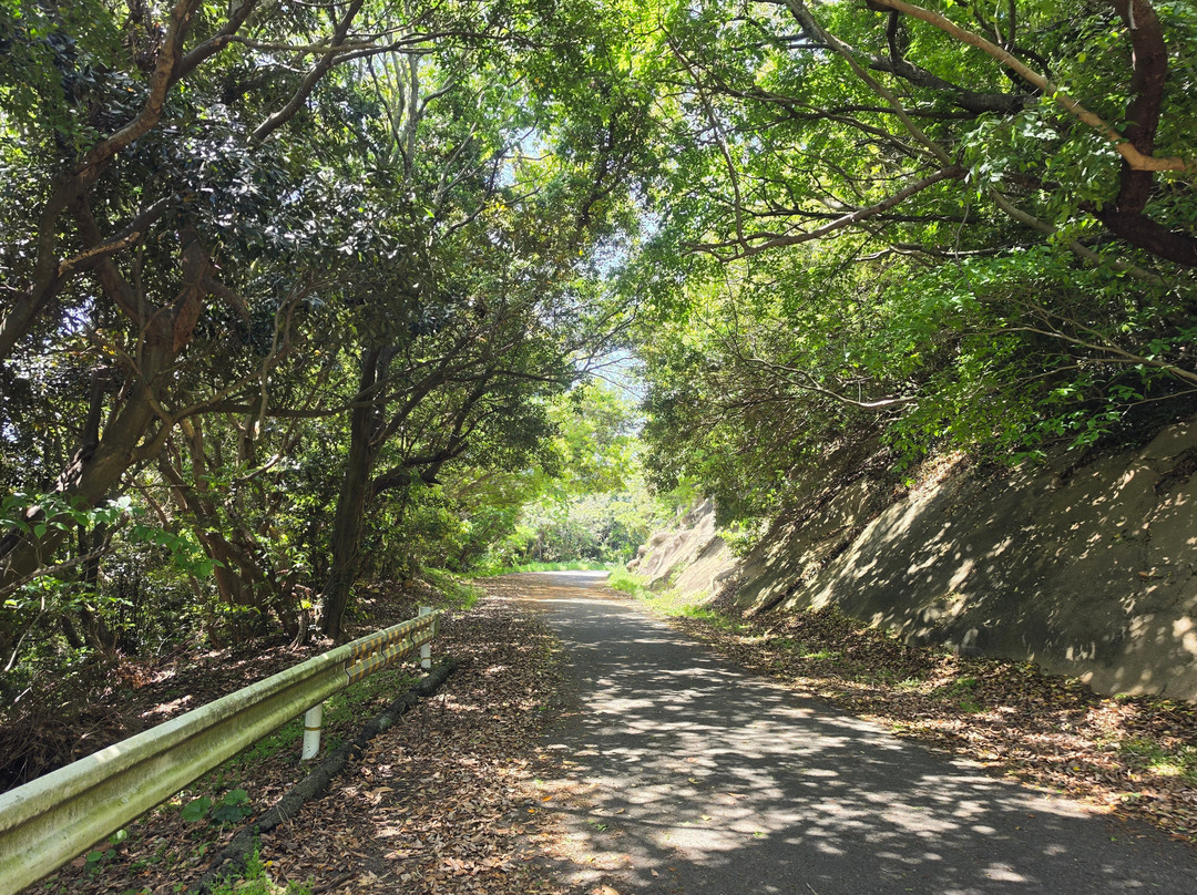 Ainoshima Island-新宫町必去景点