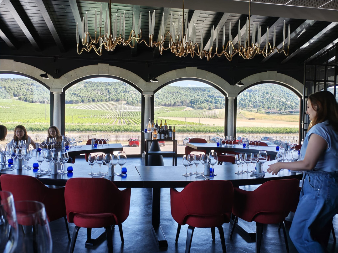 Bodegas Arzuaga Navarro-Quintanilla de Onesimo必去景点