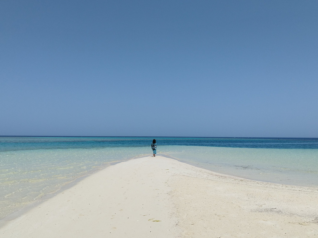 Wadi El Gemal National Park-马萨阿拉姆必去景点