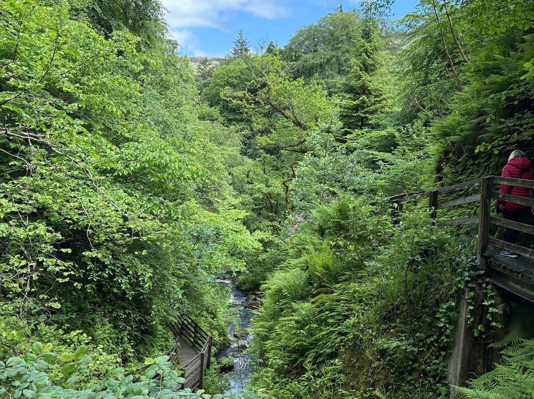 Glenariff Forest Park Caravan Park-Glenariff必去景点