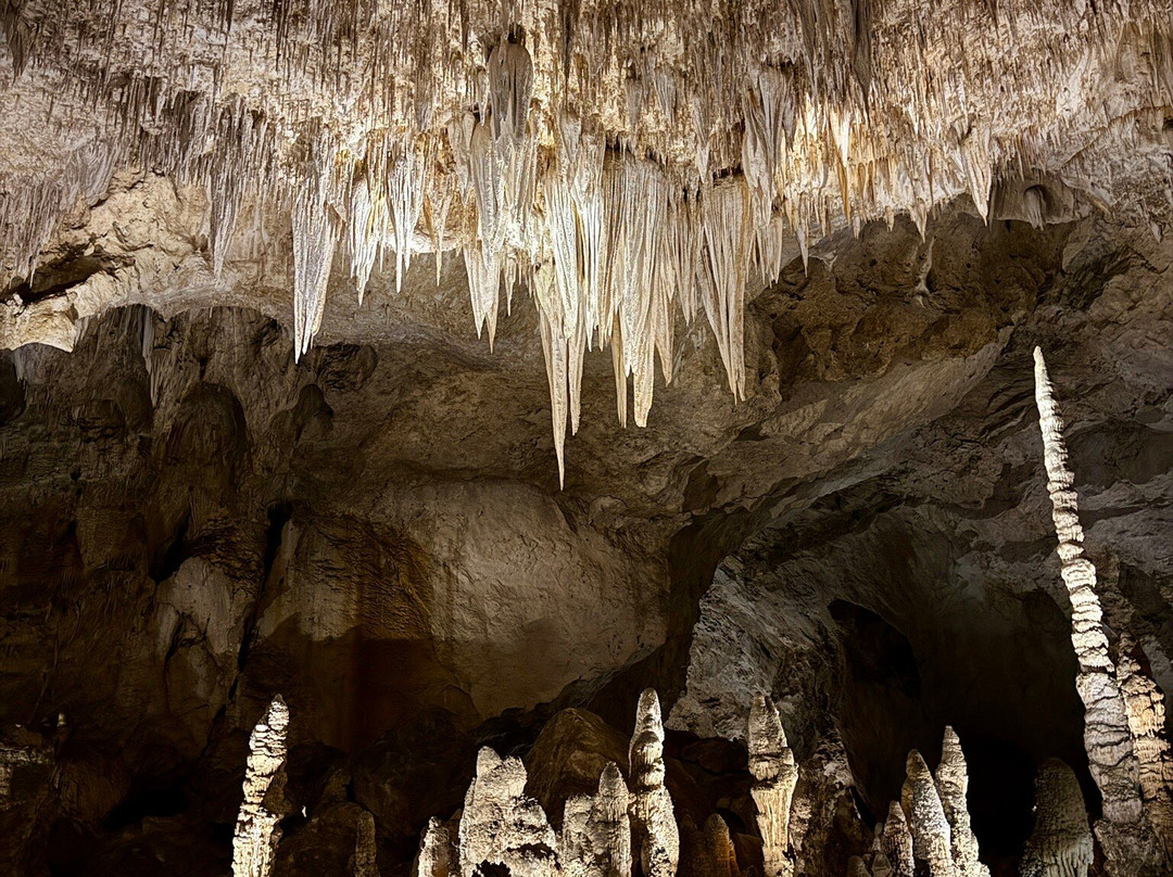 Carlsbad Caverns National Park Visitor Center-卡尔斯巴德洞穴国家公园必去景点