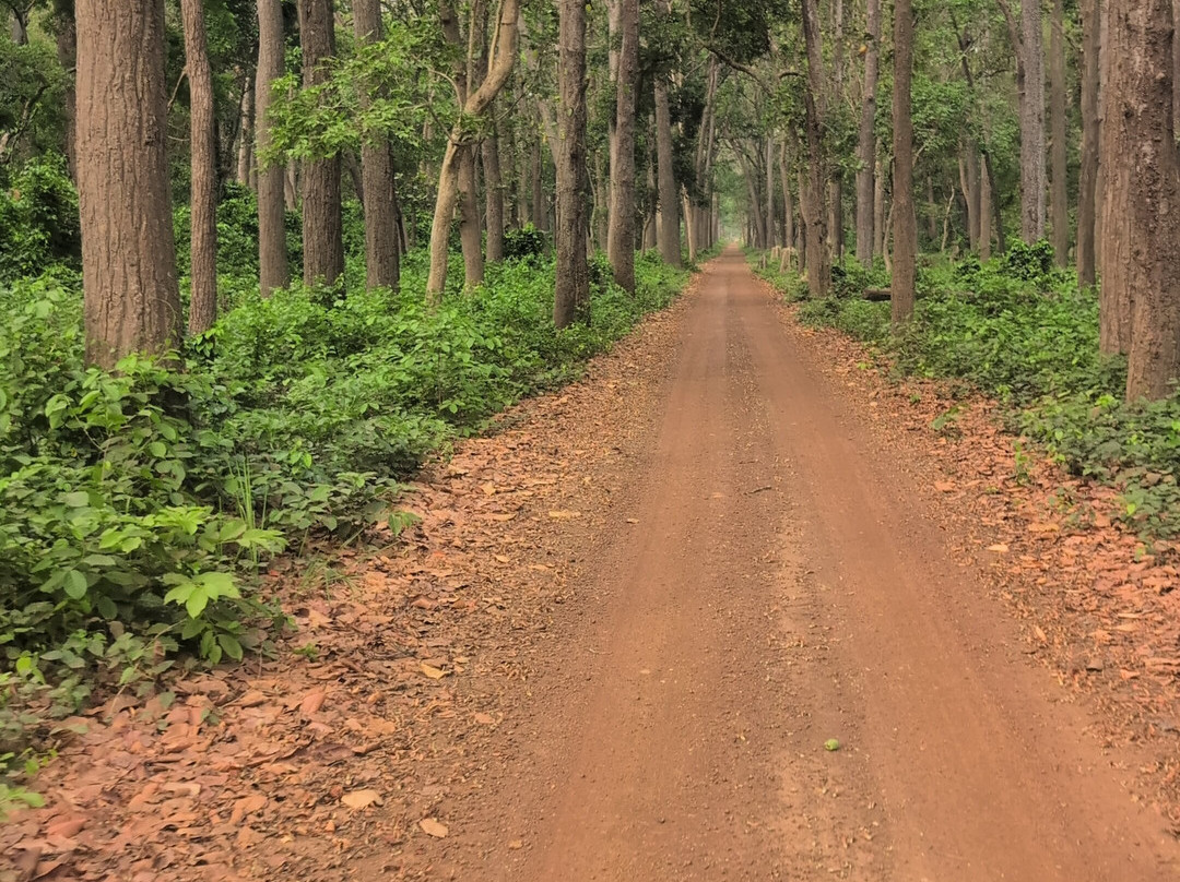Kishanpur Wildlife Sanctuary-Bhira必去景点