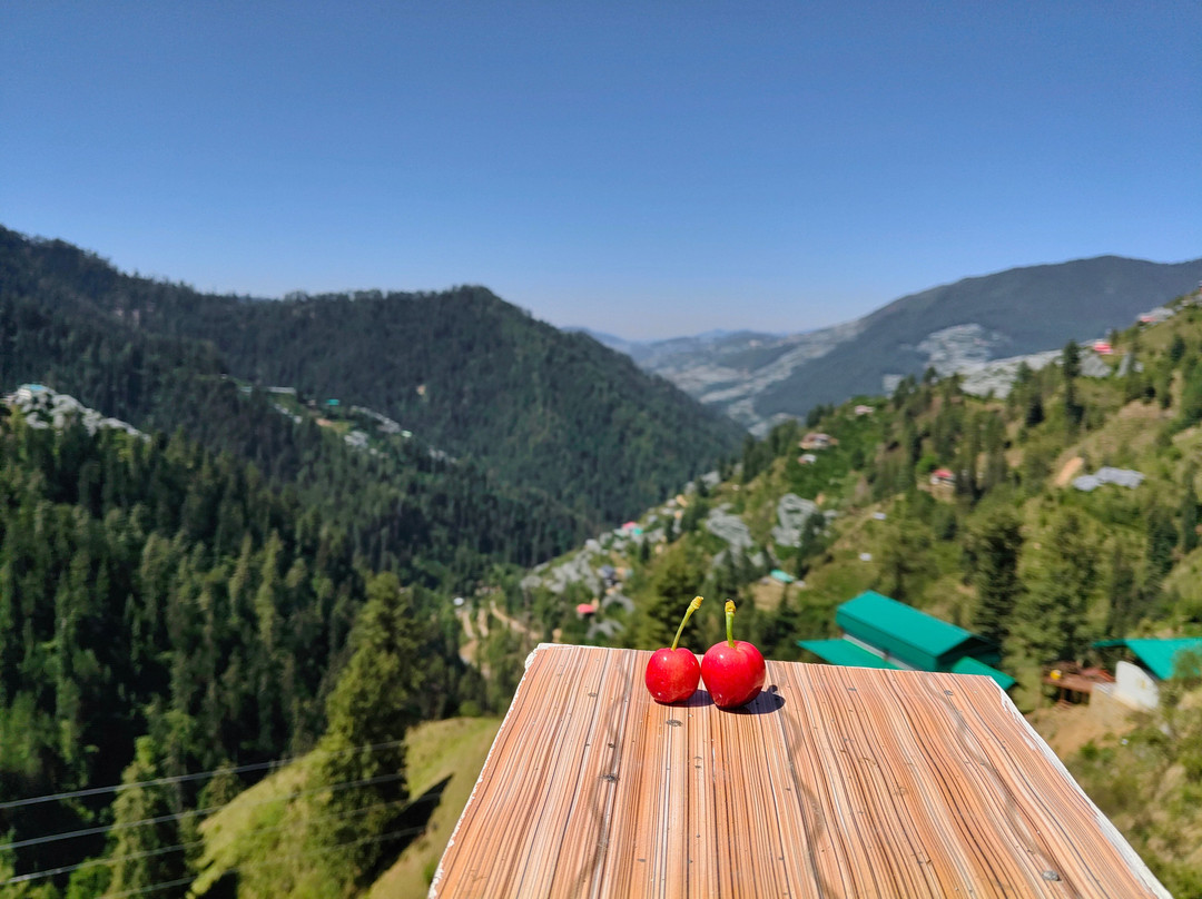 Hatu Valley Homestay