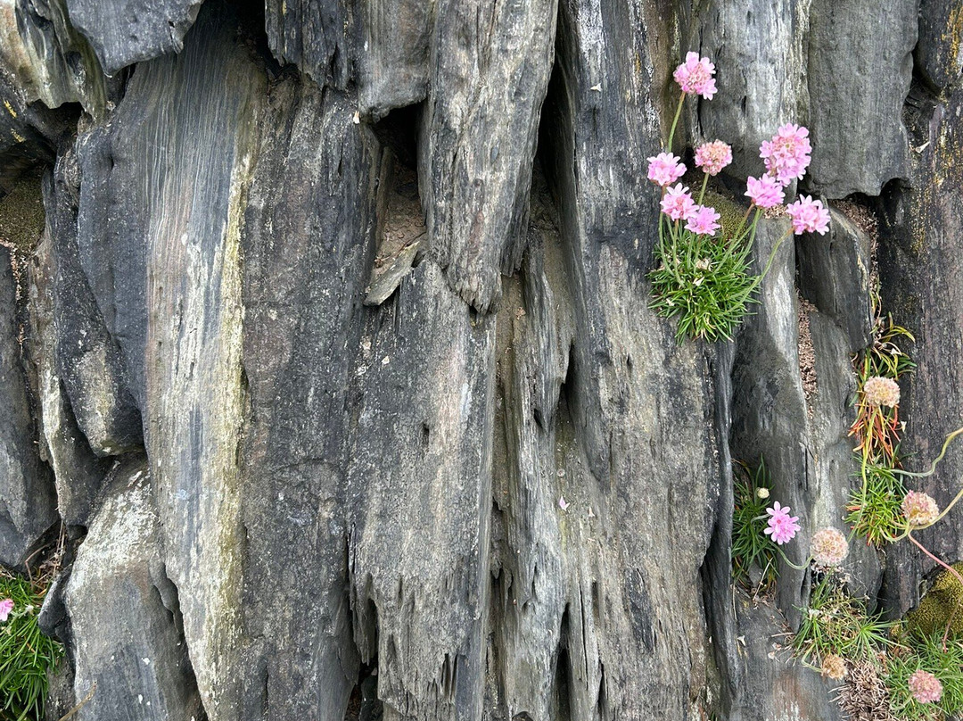 Porthgain Harbour-Porthgain必去景点
