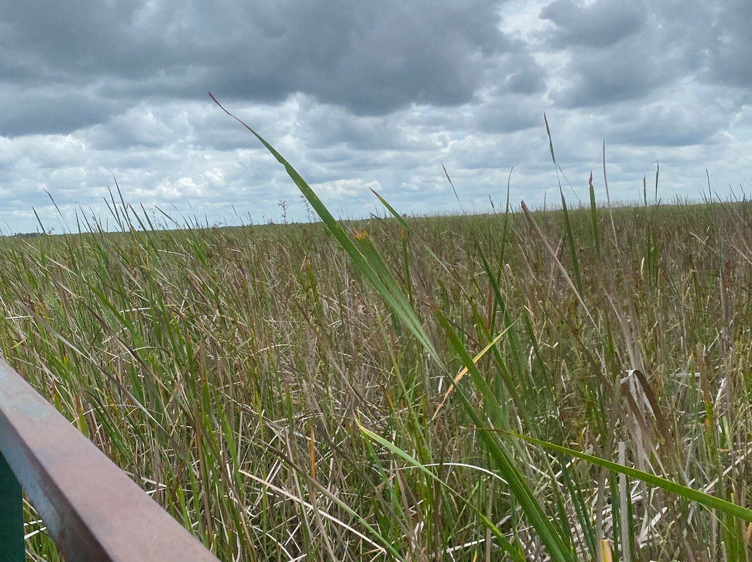 Wooten's Everglades Airboat Tour-奥乔皮必去景点