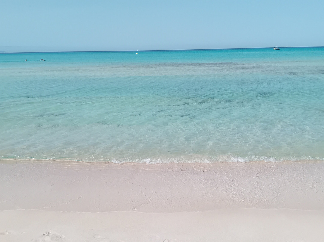 Platja d'es Trenc-Campos必去景点