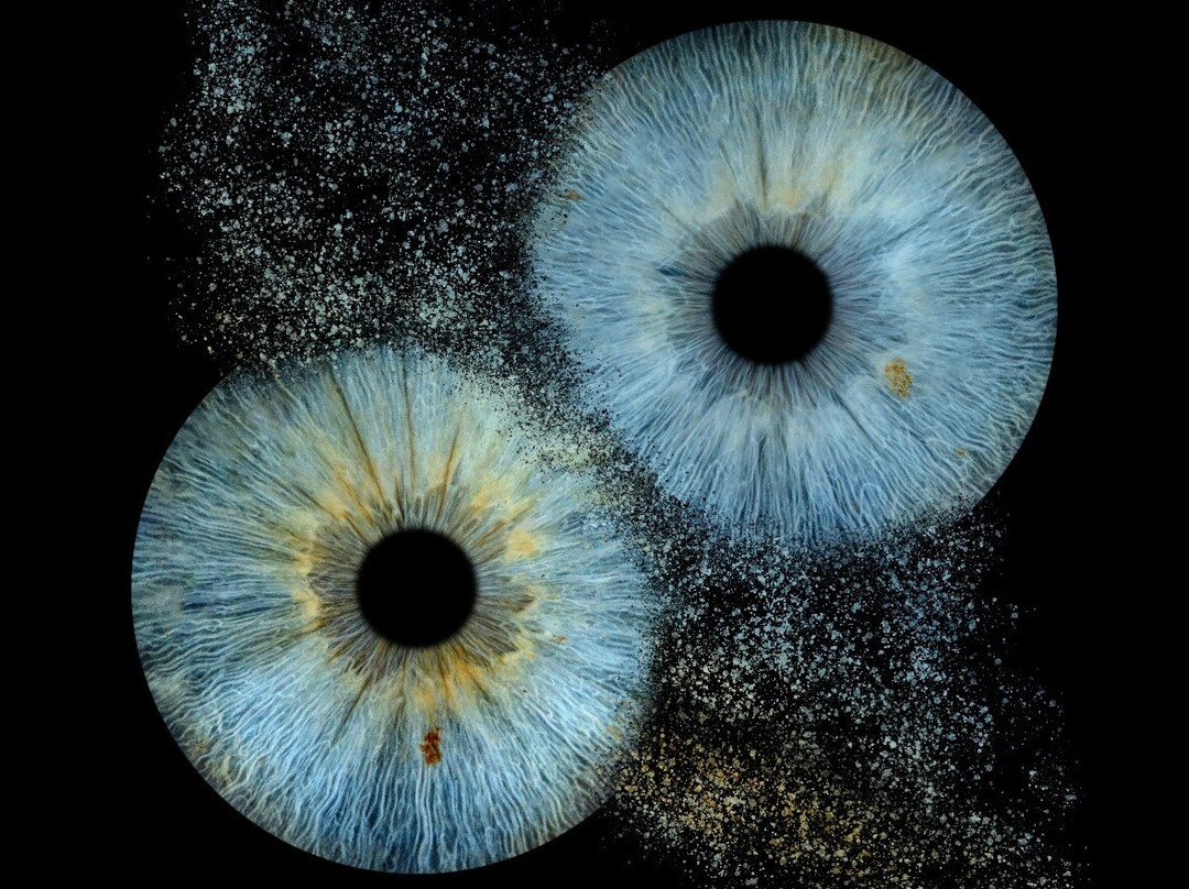 Iris Galerie Maastricht-马斯特里赫特必去景点