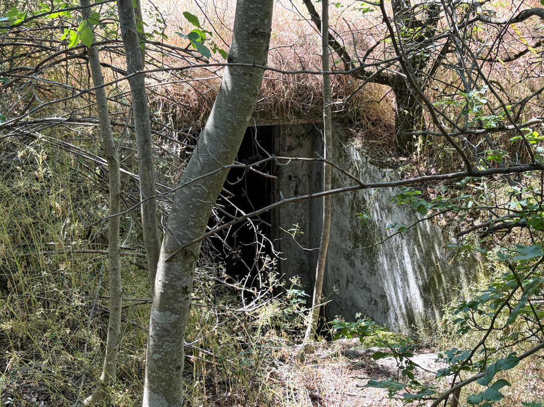 Soviet Ghost Town-Szentkiralyszabadja必去景点