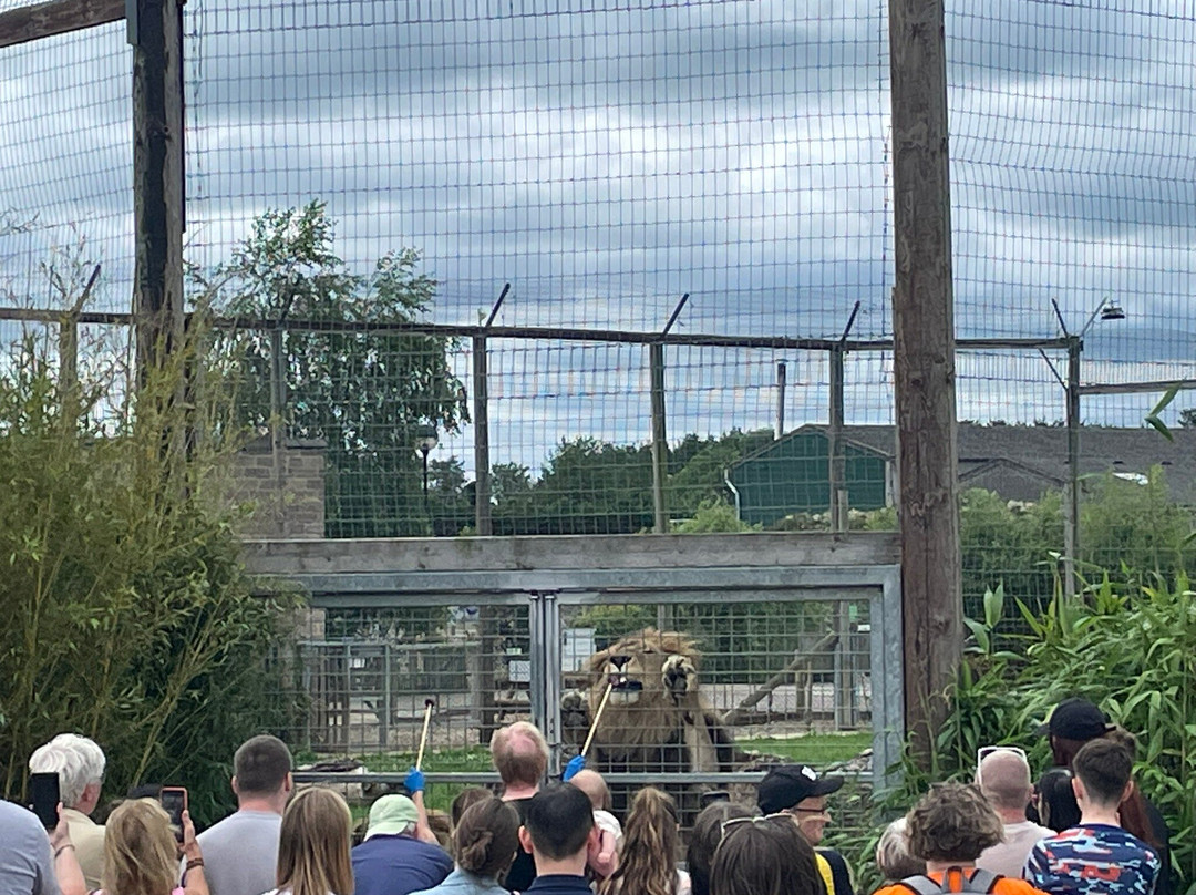 Wolds Wildlife Park-Horncastle必去景点