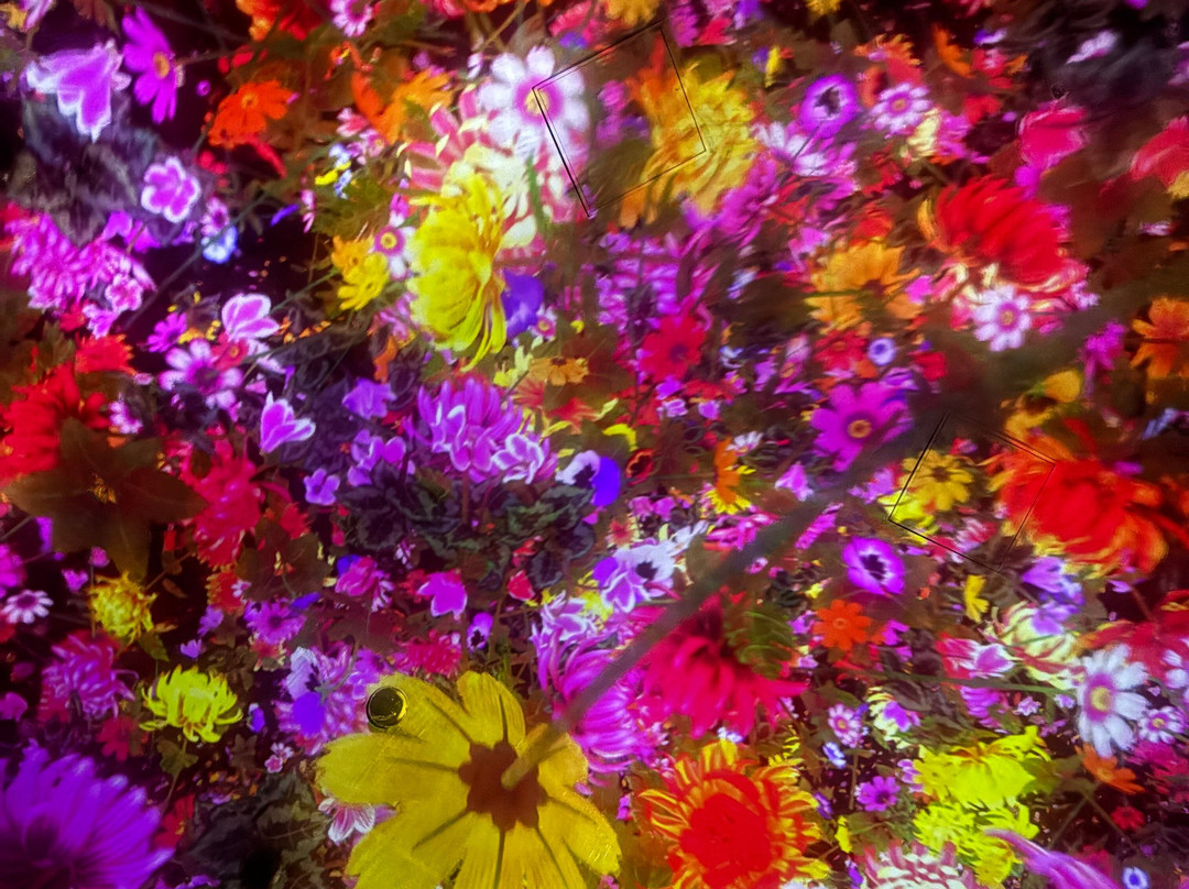 teamLab Planets TOKYO-Toyosu必去景点