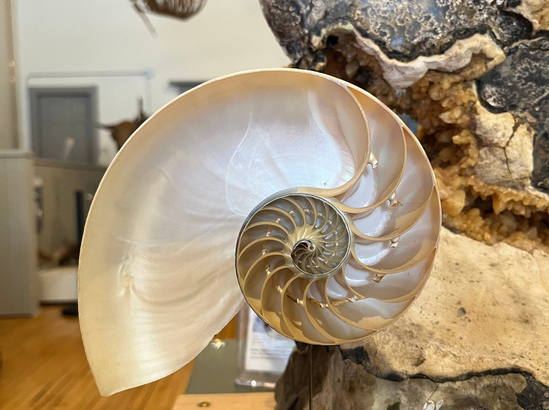 Southern Minnesota Museum of Natural History-Blue Earth必去景点