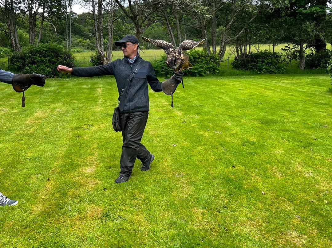 Shieldaig Falconry-盖尔洛赫必去景点