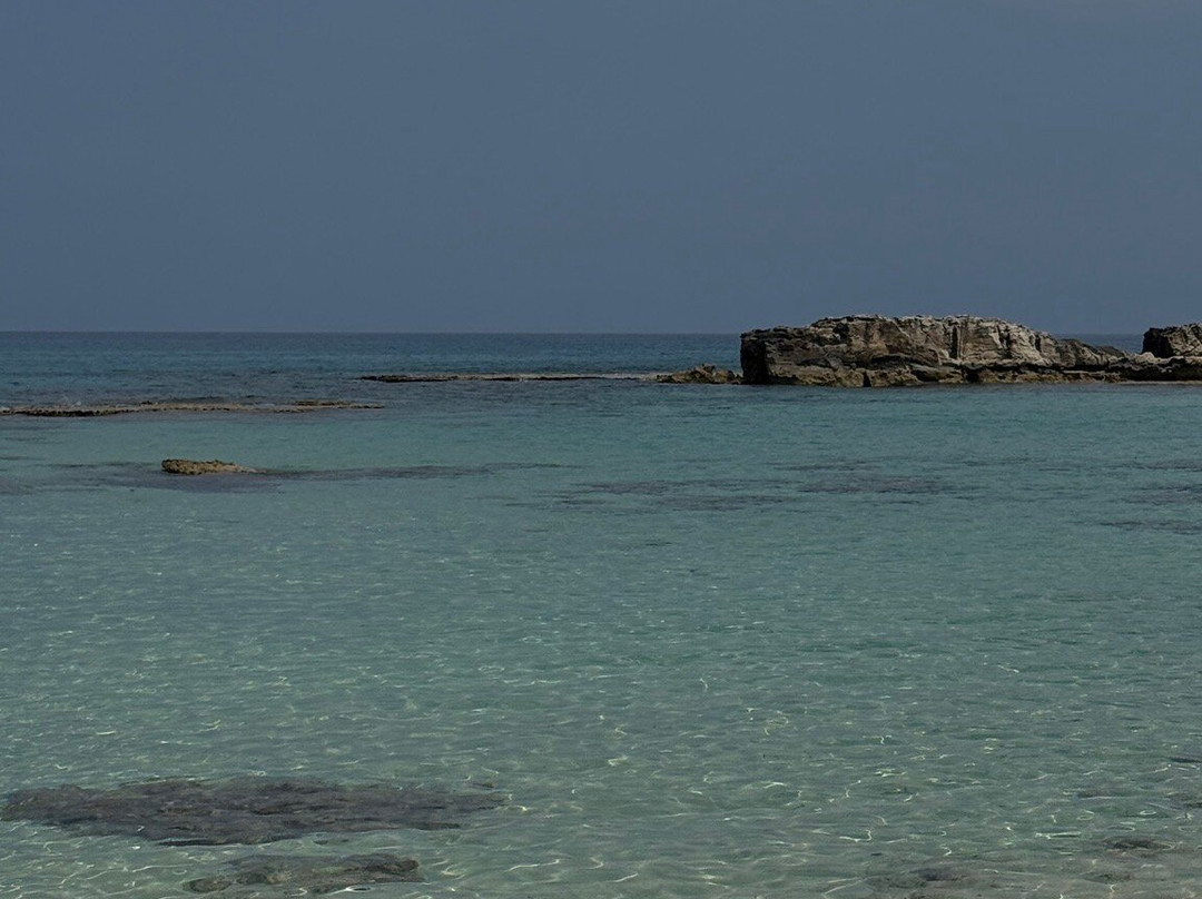 Oasis At Ayfilon主图