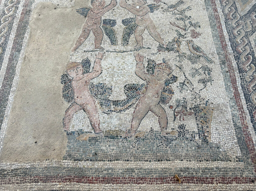Villa Romana ed Antiquarium di Desenzano del Garda-代森扎诺-德尔加达必去景点