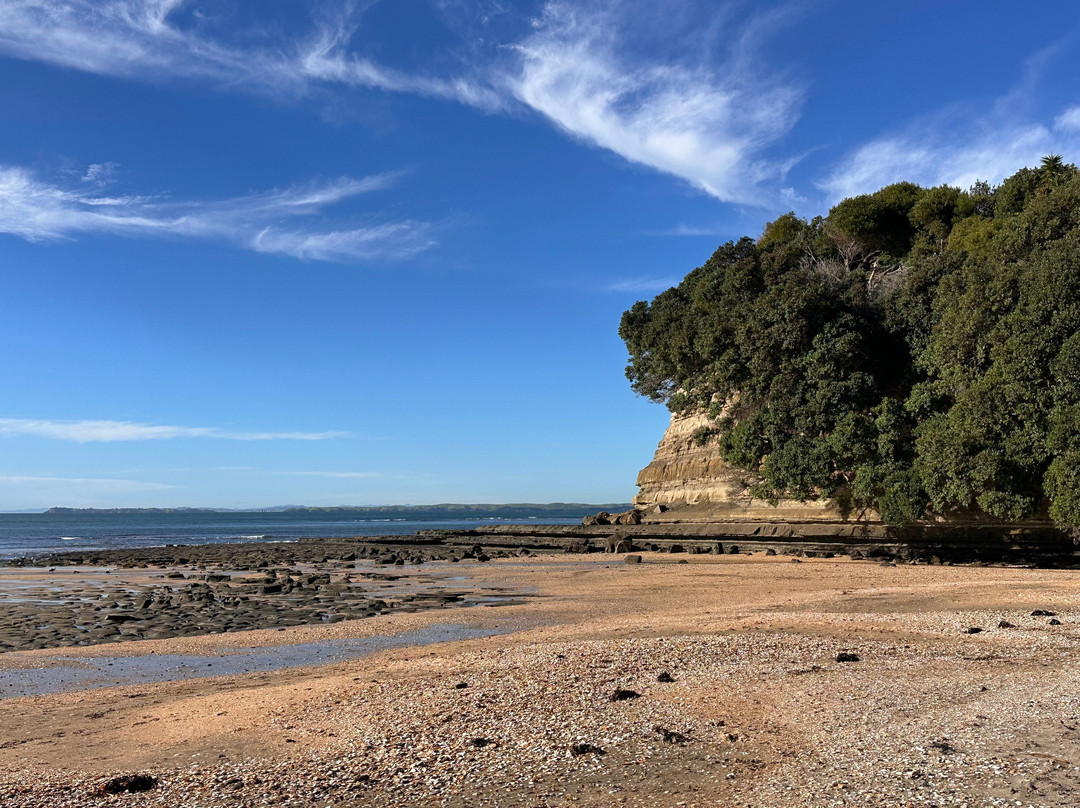 Long Bay Beach-Long Bay必去景点