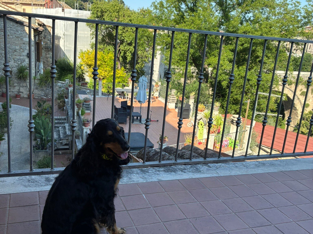 安蒂科博尔切诺住宿加早餐旅馆主图