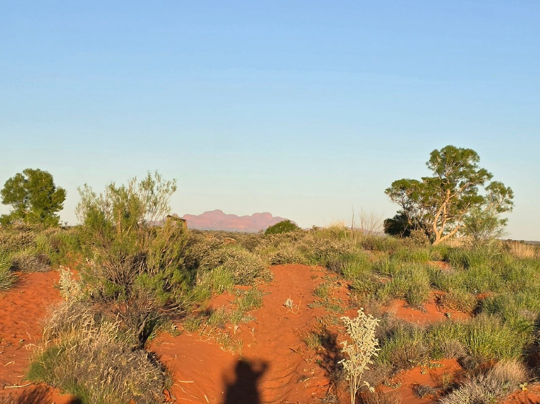 Uluru Camel Tours-尤拉拉必去景点