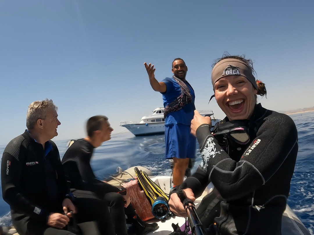 Orca Dive Club Safaga-Safaga必去景点