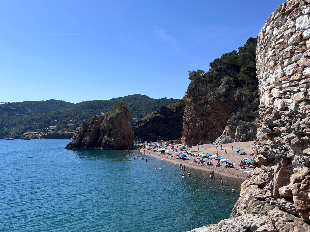 Platja naturista de l'Illa Roja-贝格必去景点