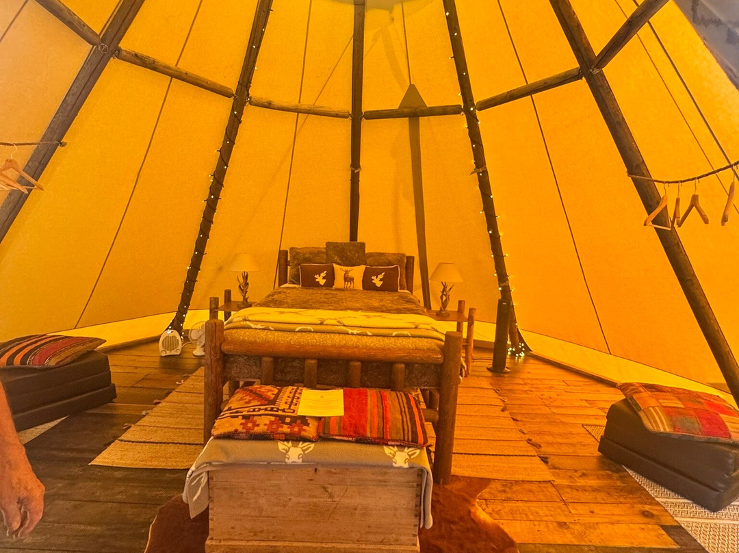 Paulton Campsite And Glamping