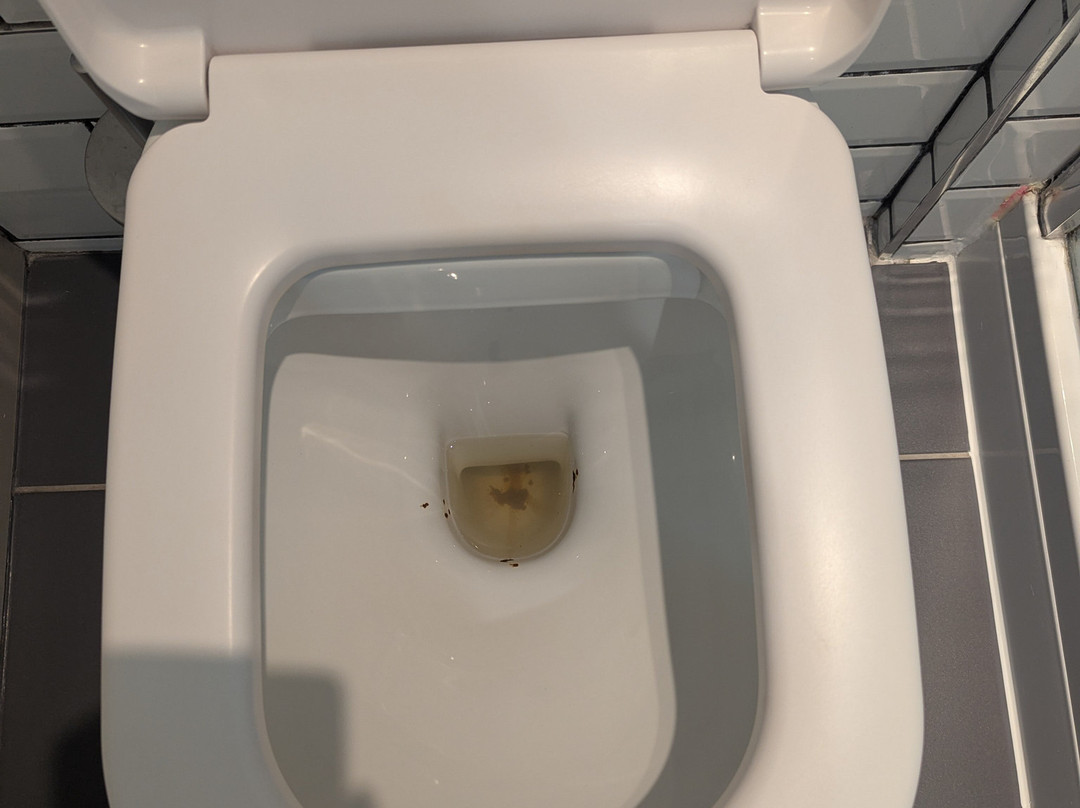 麦克唐纳天鹅酒店主图