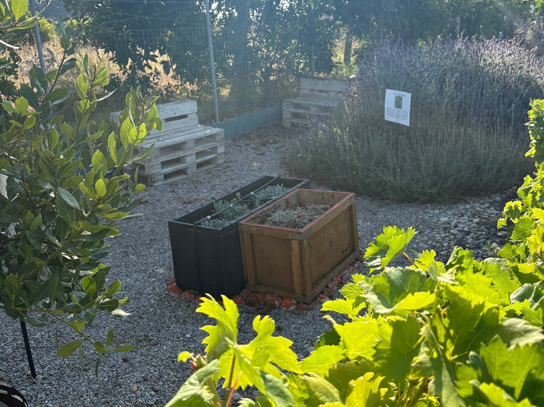 Aloe Vera & Herbal Health Farm-Fanes必去景点