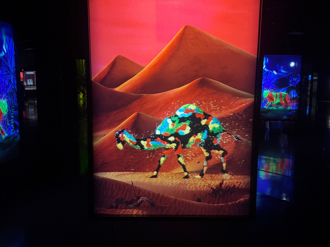 ARTE MUSEUM DUBAI-迪拜必去景点