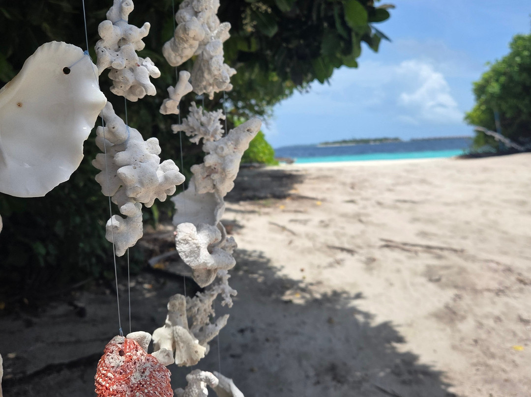 Kamadhoo Inn主图