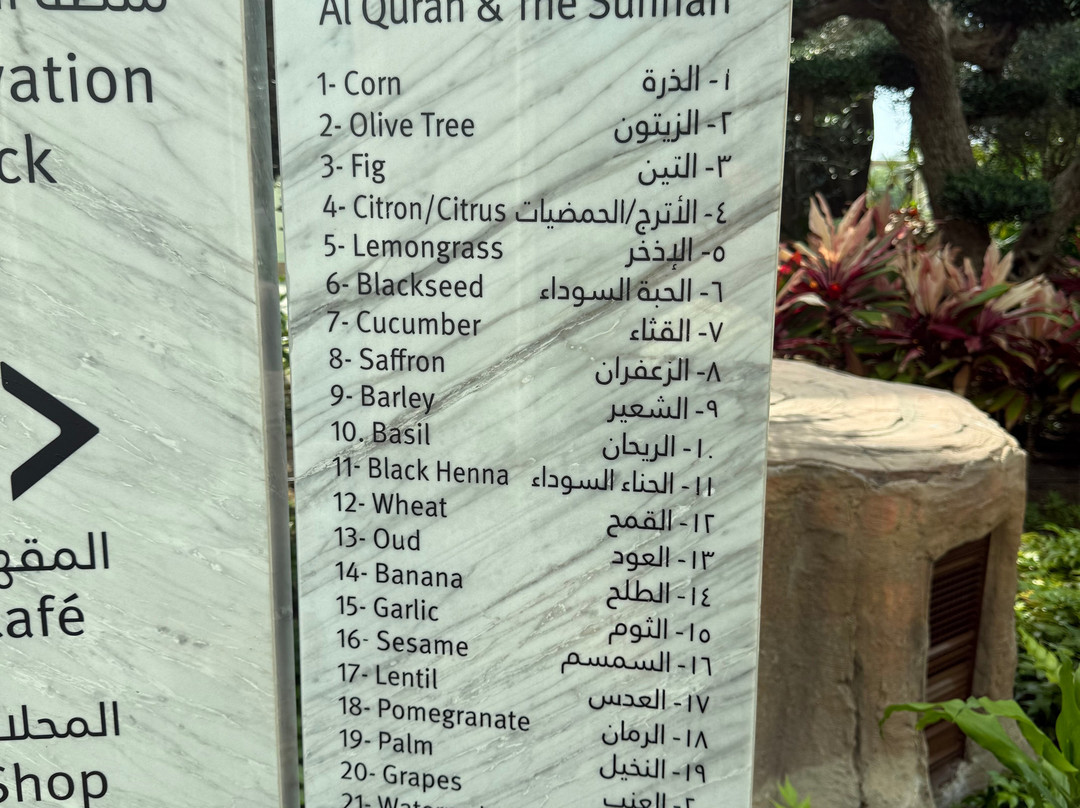 Quranic Park-迪拜必去景点
