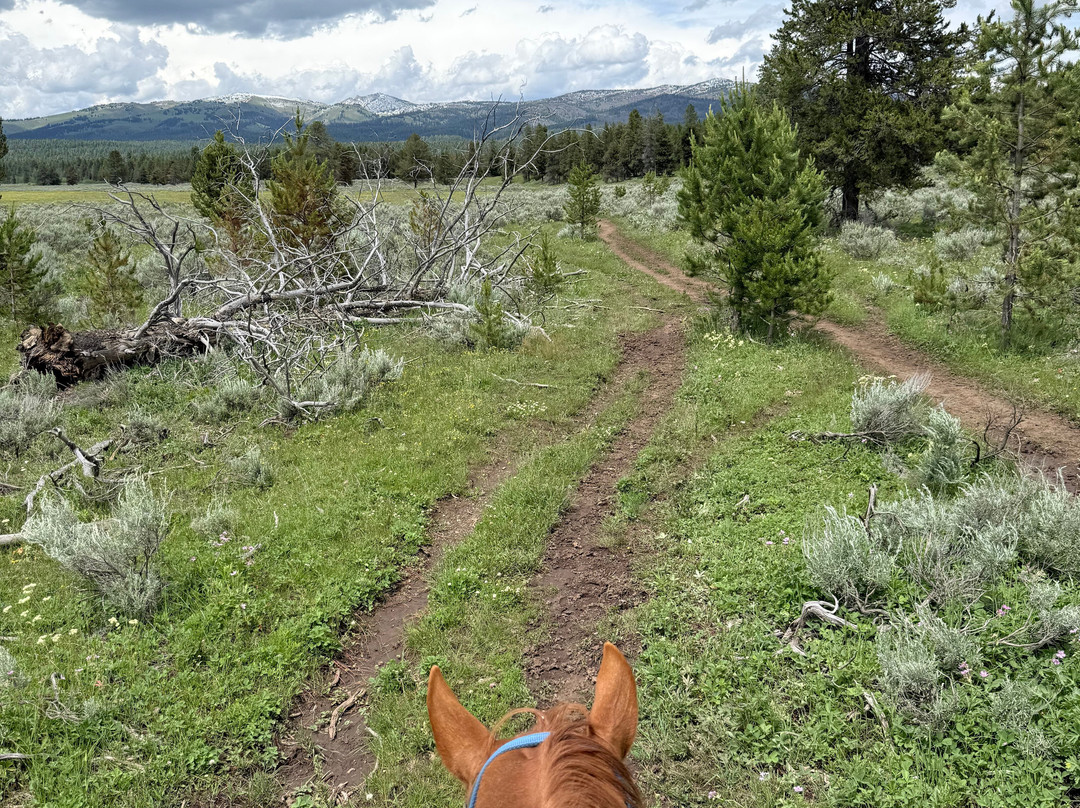 Yellowstone Horses - Eagle Ridge Ranch-艾兰帕克必去景点