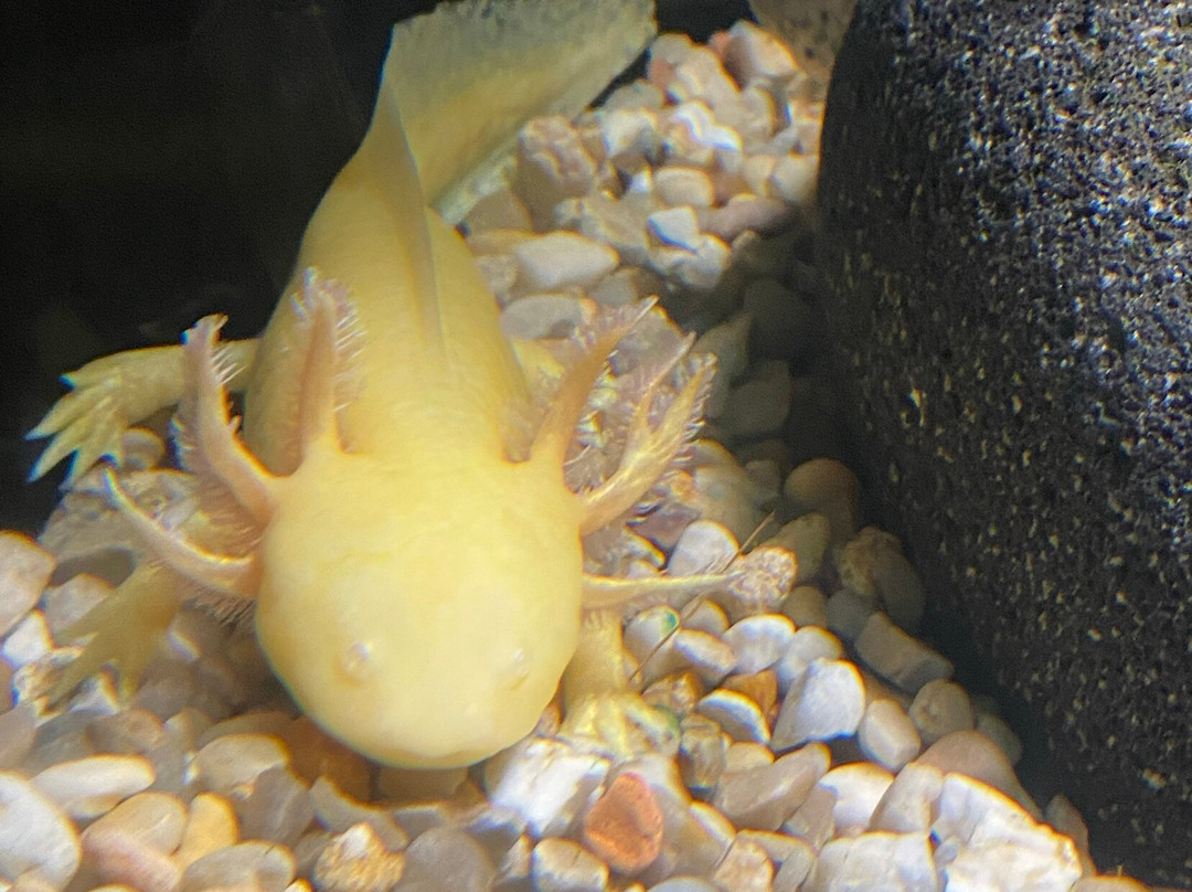 巴尔马水族馆-马洛卡帕尔马必去景点
