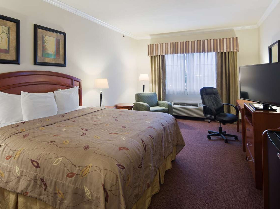 Shepherd酒店住宿-Best Western Cleveland Inn & Suites