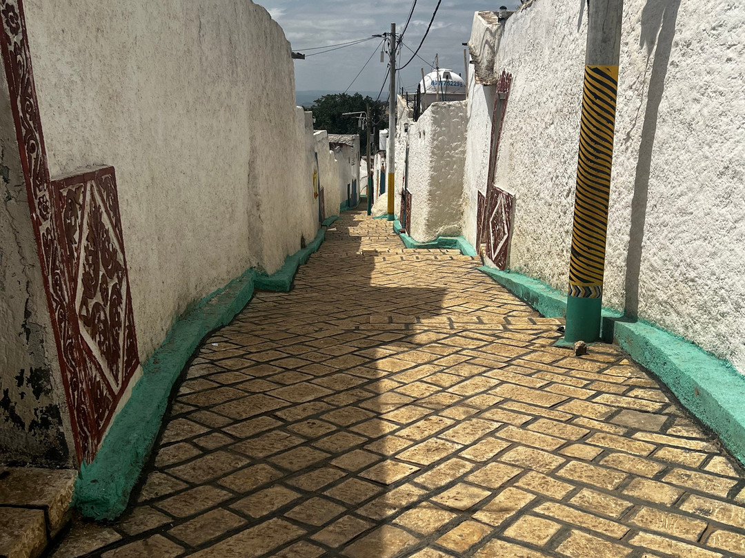 Abdul Harar Tour's-哈勒尔必去景点