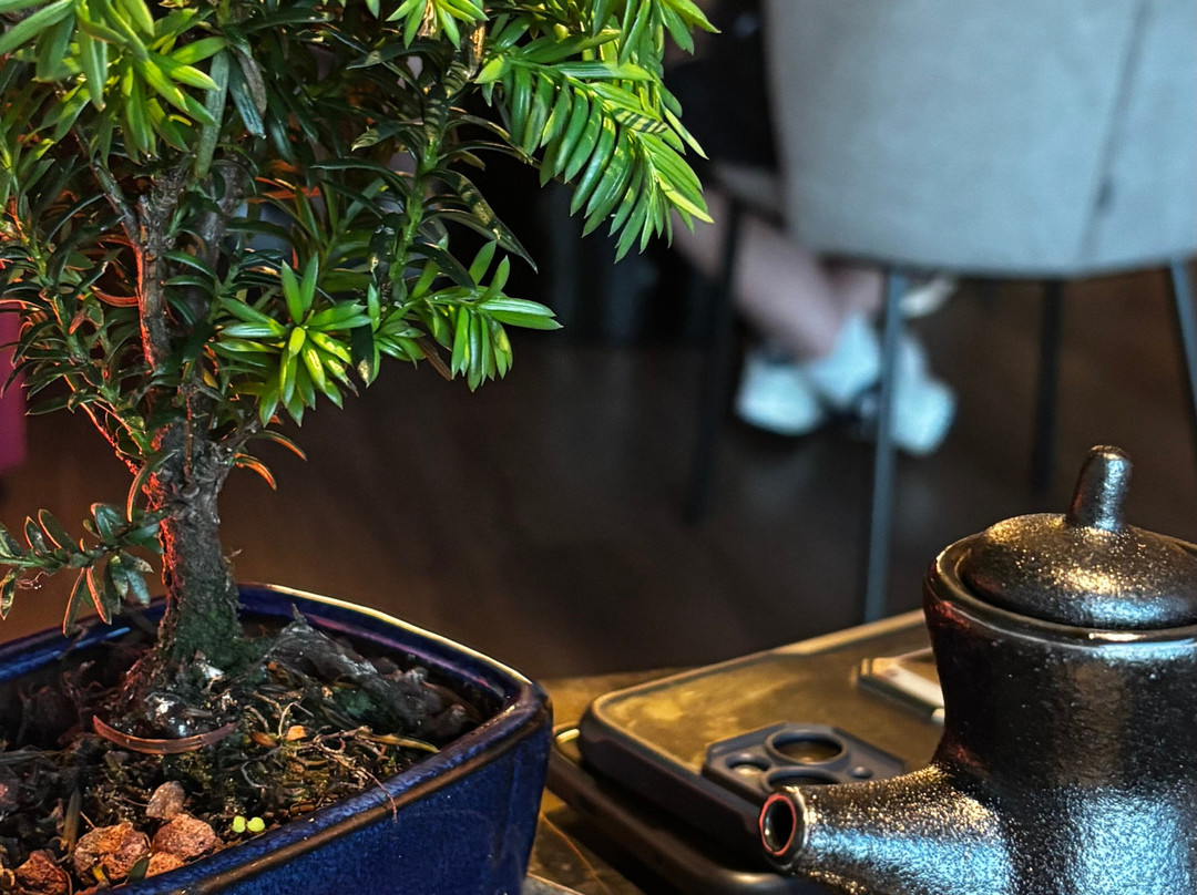 Kan.jo Restaurant