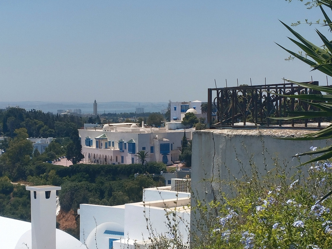 Sidi Bou Said-蓝白小镇必去景点