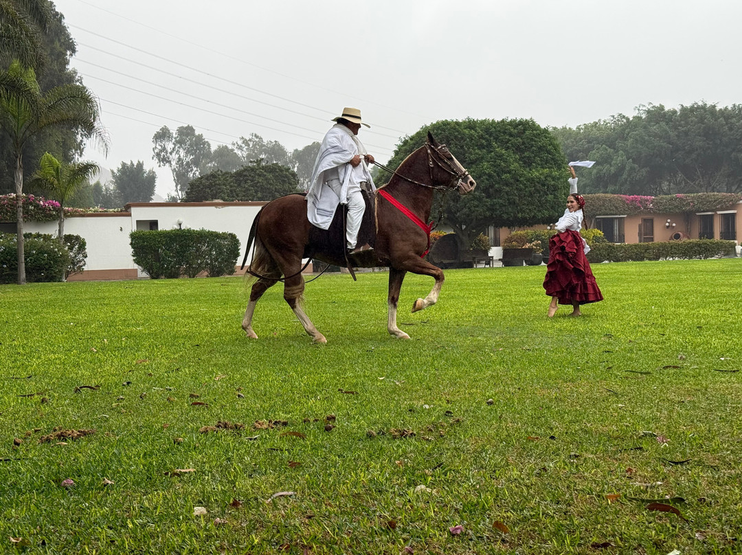 Los Ficus Casa Hacienda-利马必去景点