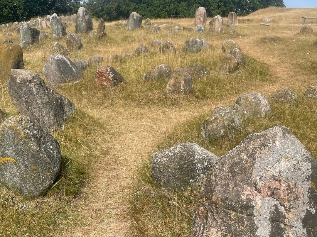 Vikingemuseet Lindholm Høje-Noerresundby必去景点
