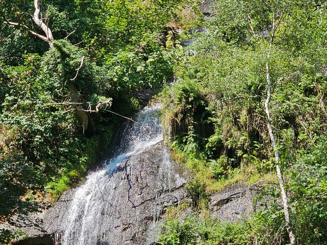 Canonteign Falls-Christow必去景点