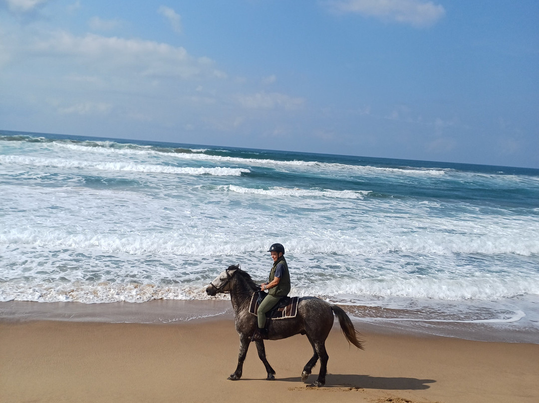 Bhangazi Horse Safaris-圣露西亚必去景点